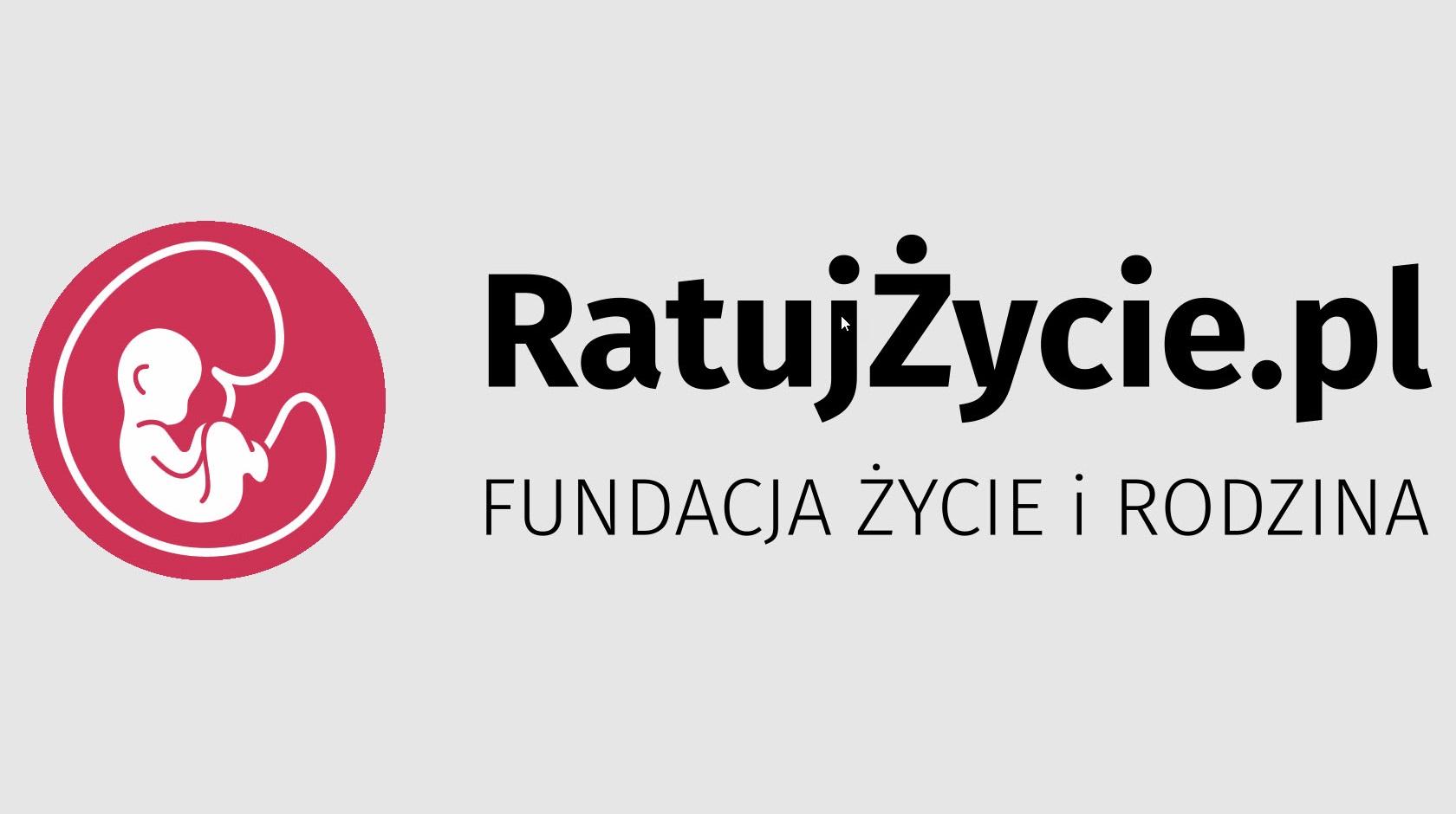 Jak wygląda codzienna działalność fundacji pro life w Polsce?